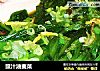豉汁油麦菜的做法