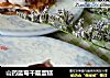山药蓝莓千层蛋糕的做法
