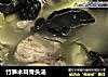 竹笋木耳骨头汤的做法