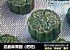 鼠曲草青团（粑粑）的做法