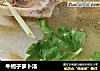 牛蝎子萝卜汤的做法
