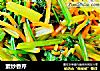 素炒香芹的做法