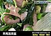 羊肉汤菜盆的做法