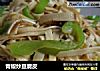 青椒炒豆腐皮的做法