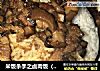 米饭杀手之卤肉饭（独家定制）的做法