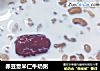 赤豆薏米仁牛奶粥的做法