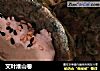 艾叶淮山卷的做法