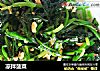 凉拌菠菜的做法