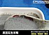 黑豆花生米糊的做法