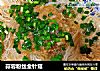 蒜蓉粉丝金针菇的做法