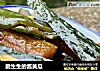 脆生生的酱黄瓜的做法