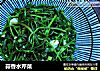 蒜香水芹菜的做法