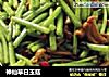 神仙草白玉菇的做法