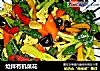 炝拌有机菜花的做法