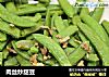肉丝炒甜豆的做法