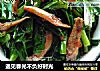 遇见春光不负好时光的做法