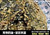 芳香四溢~紫苏烘蛋的做法