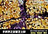 手抓饼之紫薯芝士酥的做法