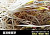 自发绿豆芽的做法
