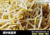 清炒黄豆芽的做法