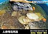 人参炖乌鸡汤的做法