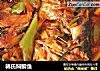 韩氏焖鲫鱼的做法