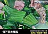 包芥菜大骨汤的做法