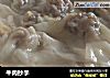 牛肉抄手的做法