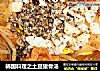 韩国料理之土豆猪骨汤的做法