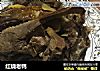 红烧老鸭的做法