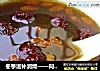 冬季滋补润燥——阿胶红枣糖水的做法