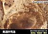 黄酒炒鸡汤的做法