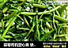 蒜蓉有机空心菜 快手菜的做法