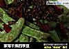 家常干煸四季豆的做法