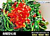 剁椒空心菜的做法