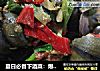 夏日必备下酒菜：爆炒田螺的做法