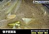 瓠子豆瓣汤的做法