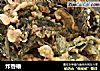 炸香椿的做法