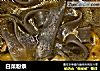 白菜粉条的做法