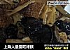 上海人最爱吃烤麸的做法