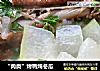 “肉类”烤鸭炖冬瓜的做法