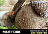 生菜鸽子刀削面的做法