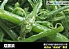瓜藤菜的做法