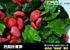 热狗炒莴笋的做法