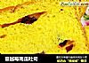 蔓越莓南瓜吐司的做法