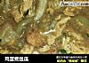 鸡蛋煮丝瓜的做法