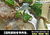 【百姓家的冬季养生菜】豆皮筒骨鲜汤的做法
