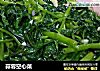 蒜蓉空心菜的做法
