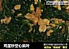 鸡蛋炒空心菜叶的做法