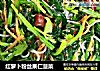 红萝卜粉丝果仁菠菜的做法